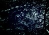 “脊柱满是针眼仍夺金”短视频获参评资格