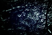 “脊柱满是针眼仍夺金”短视频获参评资格