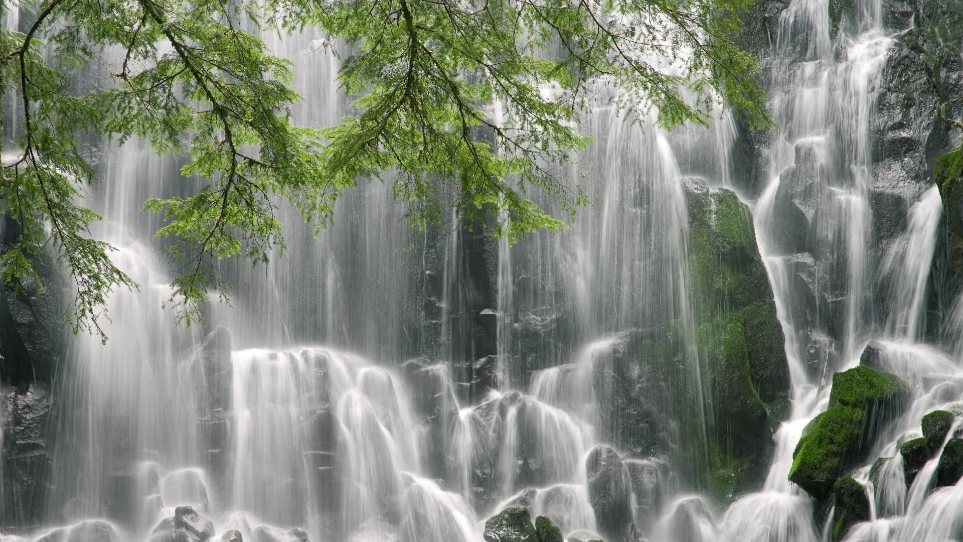 世界体操单项赛赛场心理辅导常态化推进，体操世锦赛单项决赛名单